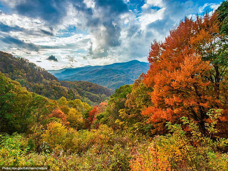 Blue Ridge Parkway Virgina