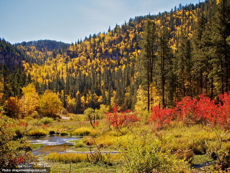 Trucking During Fall Season - South Dakota Black Hills